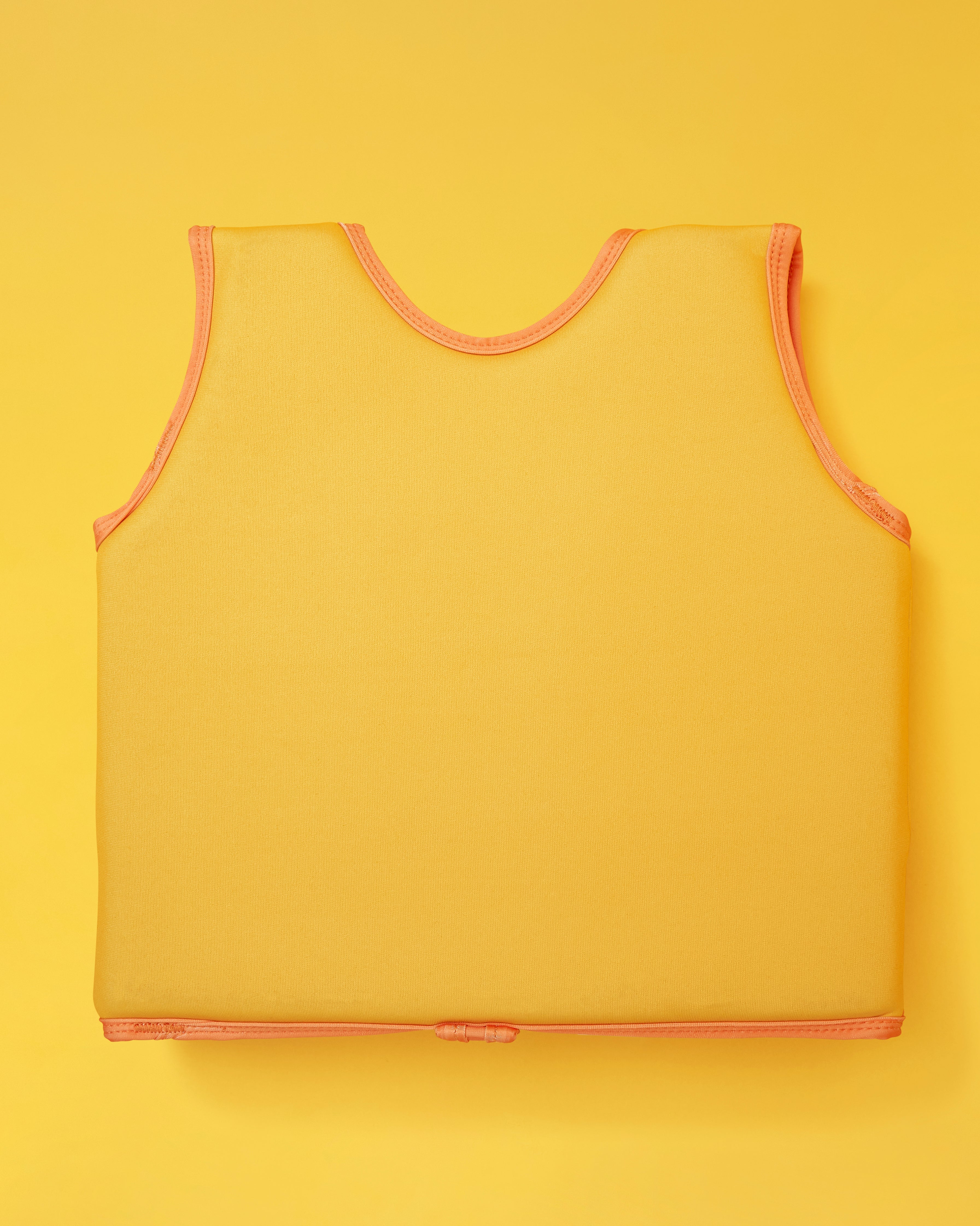 Cub the Lion - Float Vest