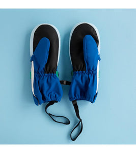 Kids Ski Gloves - Blue/Green