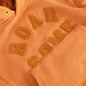 Adventure Club - Kids Earth Hoody
