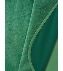 Spike the Dinosaur - Towel Cape