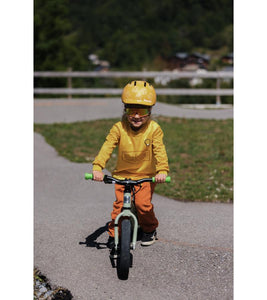 Cub the Lion - Riders Helmet