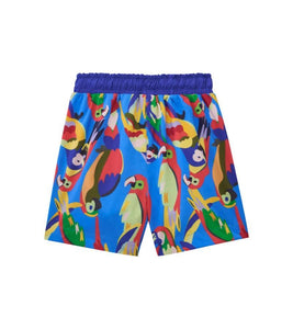 Swim - SQUAWK the Parrot Boys Bundle