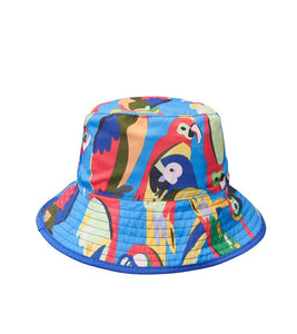 Swim - SQUAWK the Parrot Boys Bundle